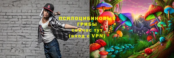дурь Армянск