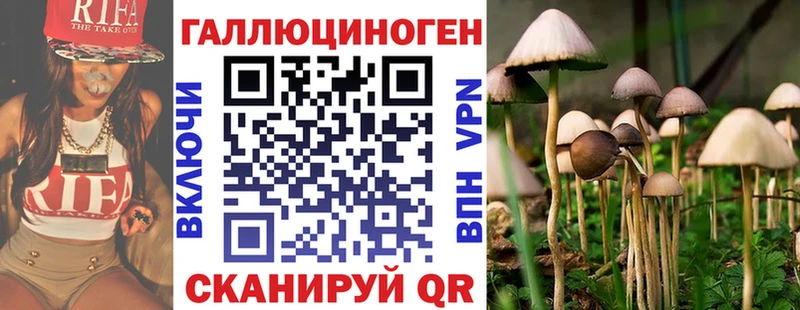 Псилоцибиновые грибы MAGIC MUSHROOMS Перевоз